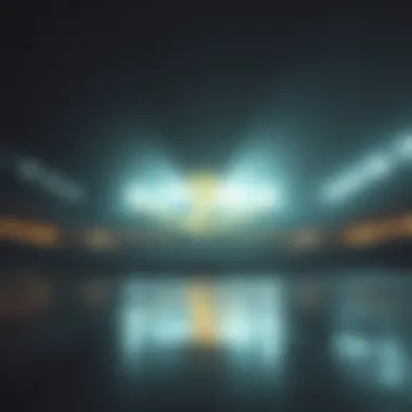 Magnificent 북메이커 배당률에 대한 심층 분석