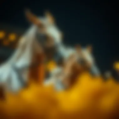 Magnificent 최고의 아시아 북메이커들