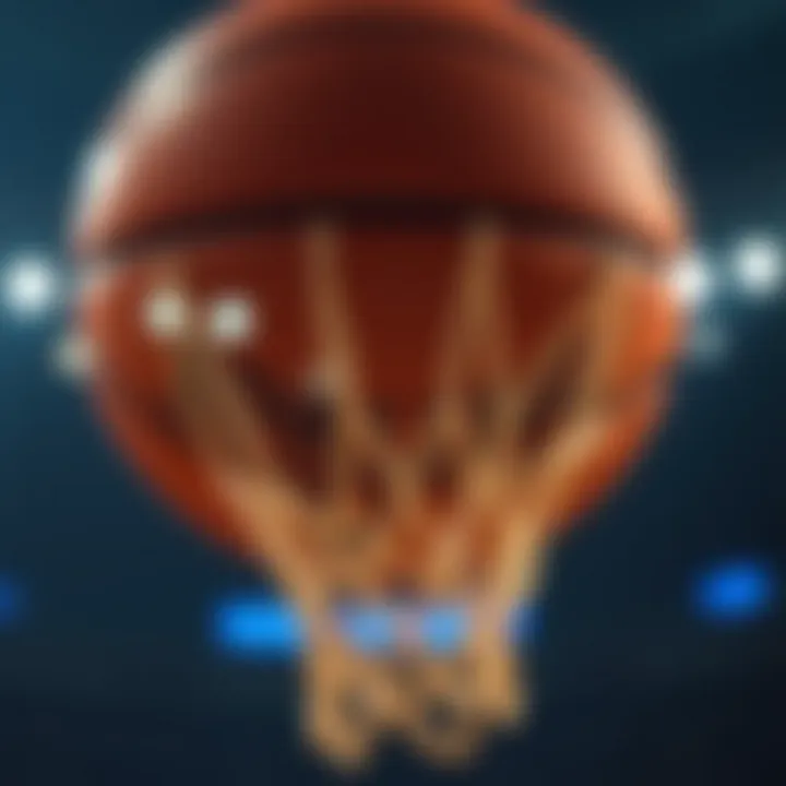 Magnificent NBA 무료 시청에 대한 이해