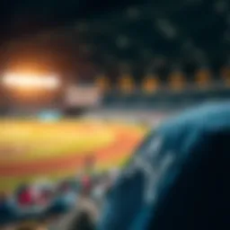 An overview of baseball analytics tools used for performance evaluation