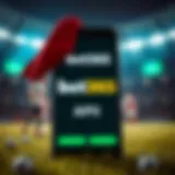 bet365 API 활용 가이드 Introduction