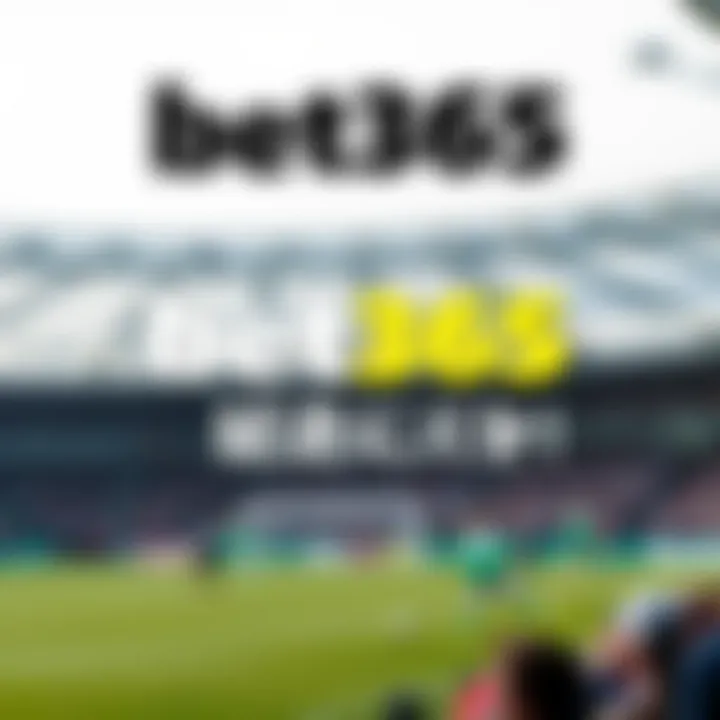 bet365 API 활용 가이드 Summary
