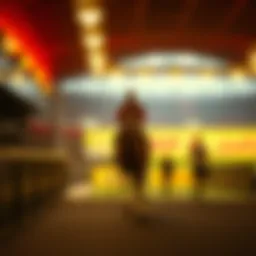 최고카지노: 현대 베팅의 권위와 특성 Introduction