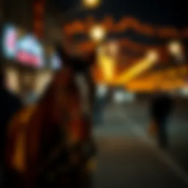 다른 게임: 전문적인 베팅 정보와 전략 Summary