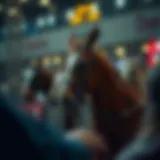카지노 게임의 세계: 전략과 정보를 통한 성공적인 베팅 Introduction