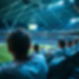 Live match viewing experience