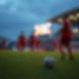 농구토토에 대한 심층 분석 Introduction