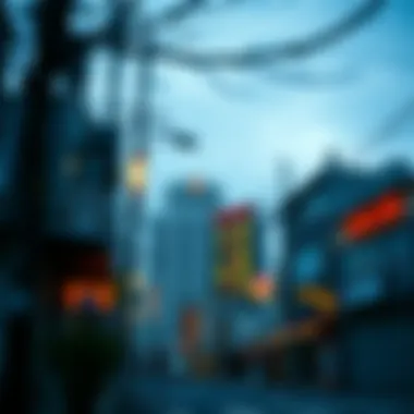 Pros and cons analysis of Norimitsu City