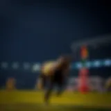 온라인 카지노 게임의 세계 탐구 Introduction