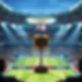 Overview of Setka Cup tournament structure