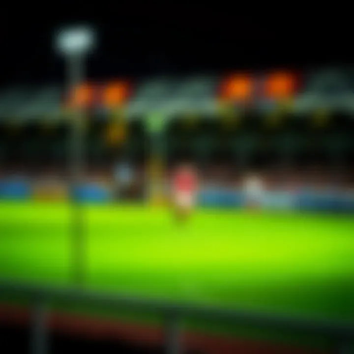 Notable 토토와 바카라: 배팅의 두 세계